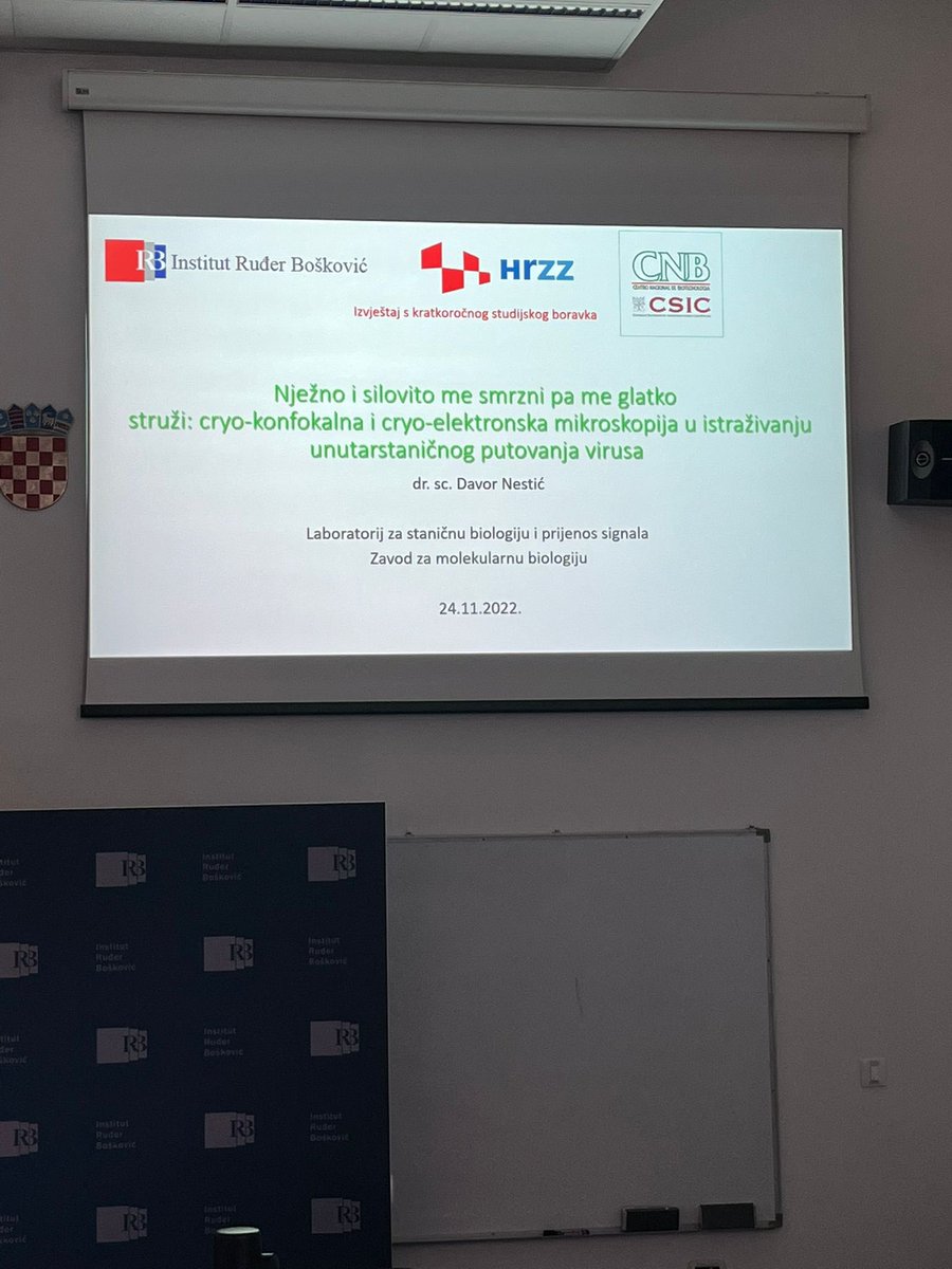 AdenoTeam's tweet photo. Davor Nestic is just explaining us how to use cryo EM and FIB SEM to study #adenovirus cell entry @carmensmp @institutrb @hrzz_science @CNB_CSIC @DragomiraMajhen https://t.co/zDnMM9cXfo