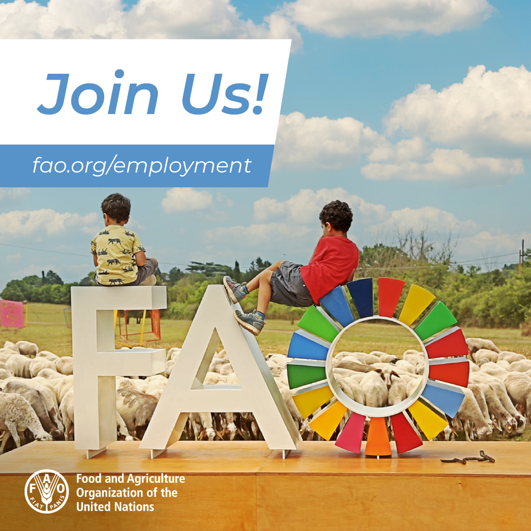 FAO works on sustainable agrifood systems transformation for better production, better nutrition, a better environment and a better life for all, leaving no one behind.

Want to join us?

👉 Follow @FAOJobs

 #UNJobs