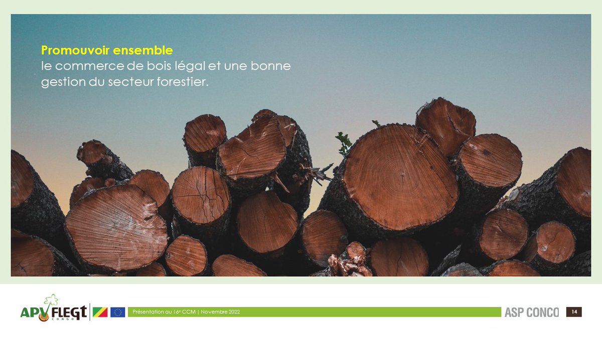 APV FLEGT Congo tweet media