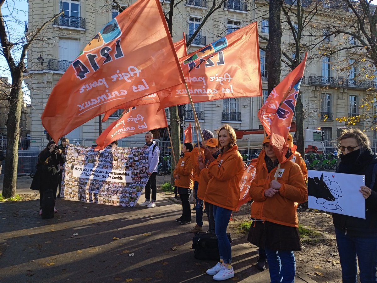 Rassemblement à #Paris en soutien à la #PPLcorrida d'@CaronAymericoff . Tous ensemble contre la torture !  @CRAC_Europe #24novembreCorrida #nonalacorrida #SouffranceAnimale