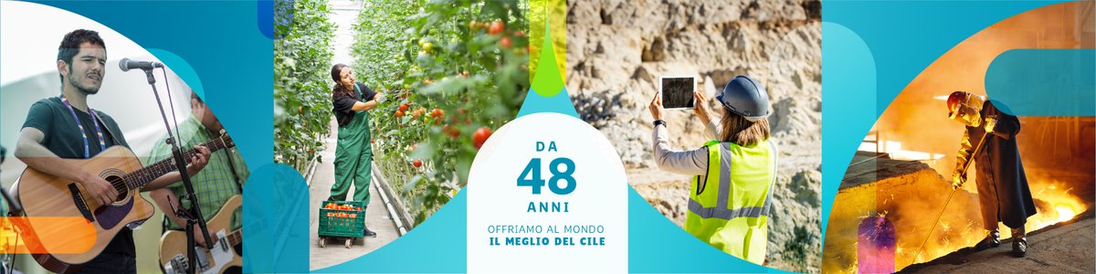 prochile_it's tweet photo. Da 48 anni offriamo al mondo il meglio del #Cile 🇨🇱
@prochile #ProChile48Años
https://t.co/bSnUKIUEnB https://t.co/2JtcFlOoMd