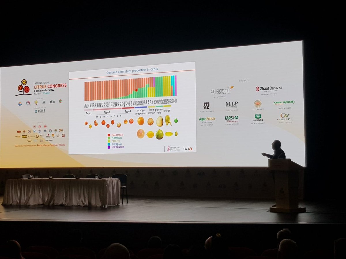 GVAivia's tweet photo. 📢Destacada participació de l'IVIA en el International Citrus Congress (ICC 2022) https://t.co/tPb6Sa3KdQ https://t.co/d5W66D8l90
