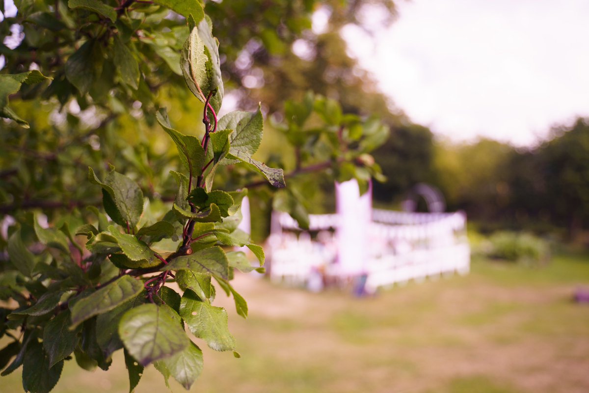 PollinatorsPark's tweet photo. We’re really excited that our home the @OutbackGardenHX is up for the Great &amp; Green award at tonight’s @CalderdaleFound Community Awards! 

Good luck! 🤩 https://t.co/e2YVy5XDbe