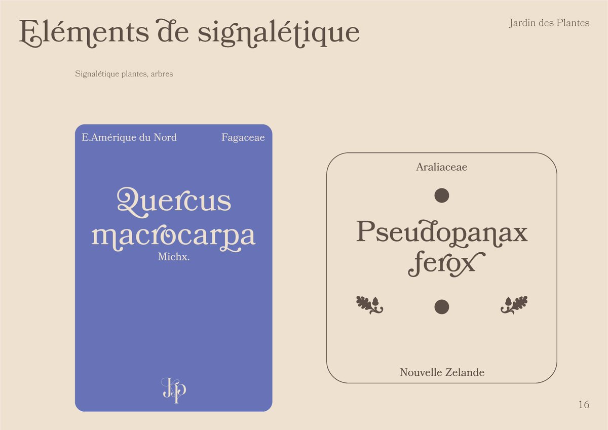 SinuAVS's tweet photo. J'ai refait le logo + éléments de signalétique du Jardin Des Plantes de Nantes ! C'est une des premières fois que je fais une typo lisible/gentille, plutôt content du resultat final ! Si vous avez des retours n'hésitez pas 🌿✨ https://t.co/jDLXvET8Ja