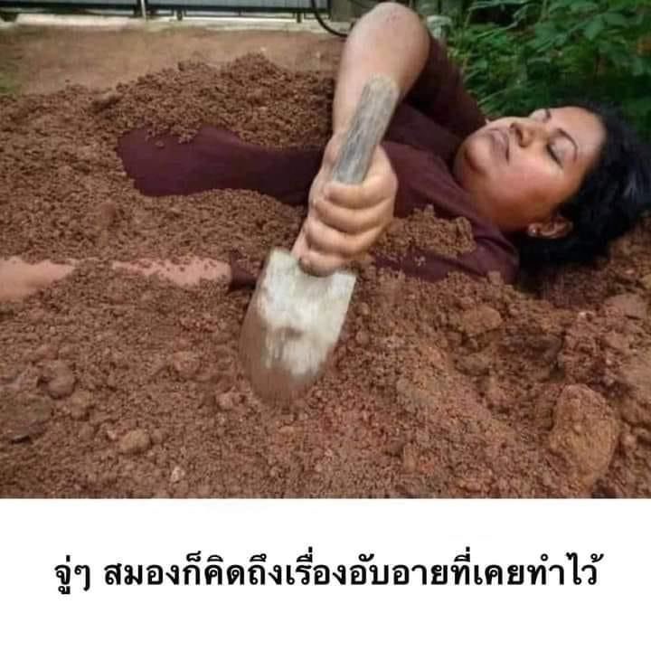เรื่องสมัยเรียน