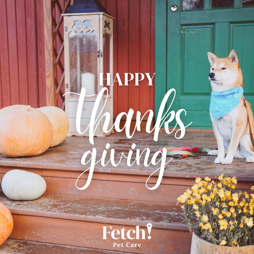 FetchPetCare's tweet photo. #HappyThanksGiving from all of us at #fetchpetcare We are thankful for you!
#Fetch #PetCare #DogWalking #PetSitting #PetTaxi #weloveemlikeyoudo https://t.co/edaziz40ar
