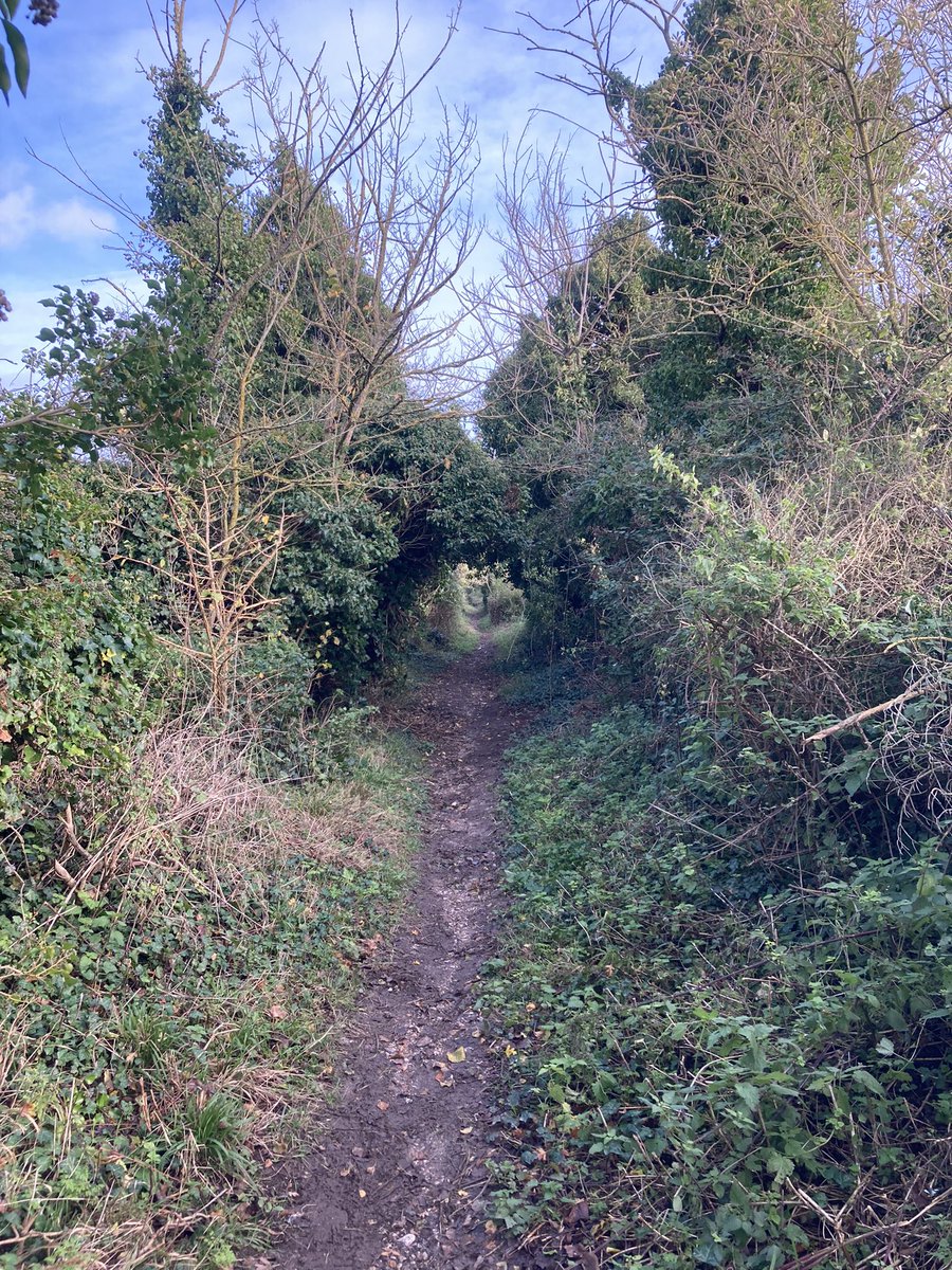 Helen Iveson tweet media