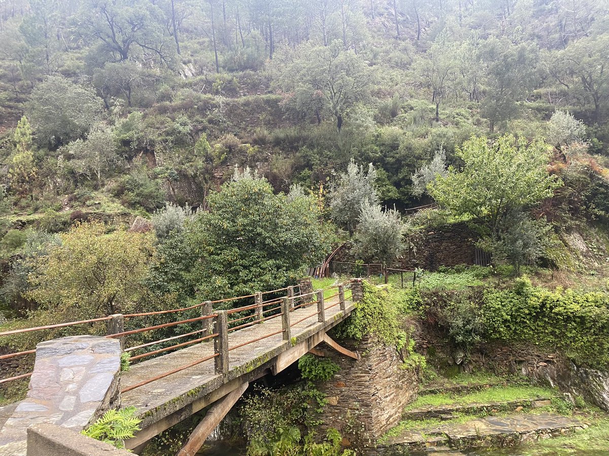 NorwayAmbPT's tweet photo. Visita informativa a #Arganil e #PampilhosadaSerra para acompanhar o projeto que vai melhorar a gestão da bacia hidrográfica do #RioCeira face às alterações climáticas.
@joaotelha
#eeagrants #programaambiente https://t.co/pioXgj3sTK