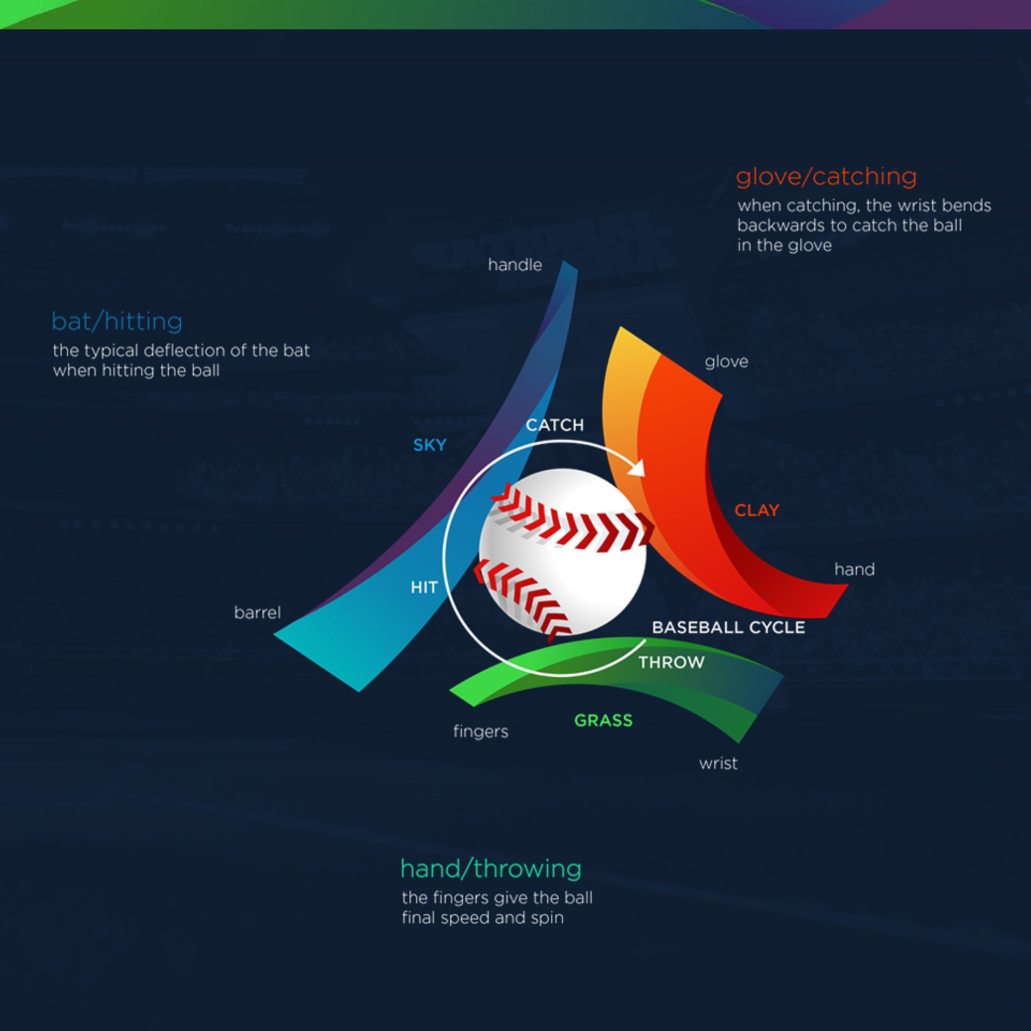 WBSC Europe reveals groups, logo of 2023 Baseball European