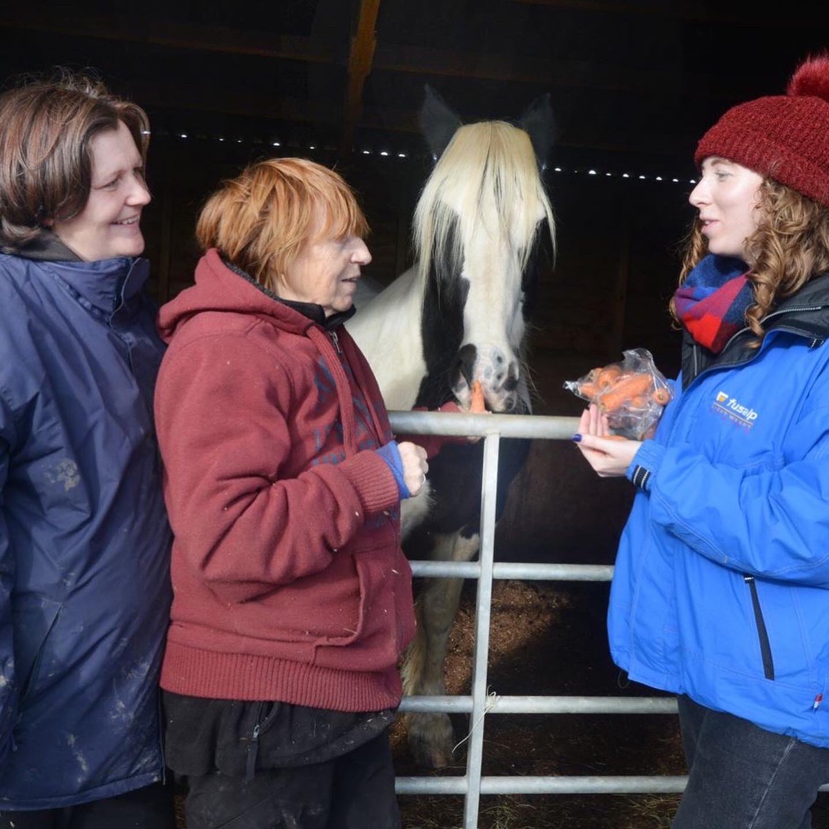 Yesterday I was out of the office to meet the ladies behind Little Bramley Farm Horse Sanctuary 🐴 @Eastbournenews (Photos by Justin Lycett)