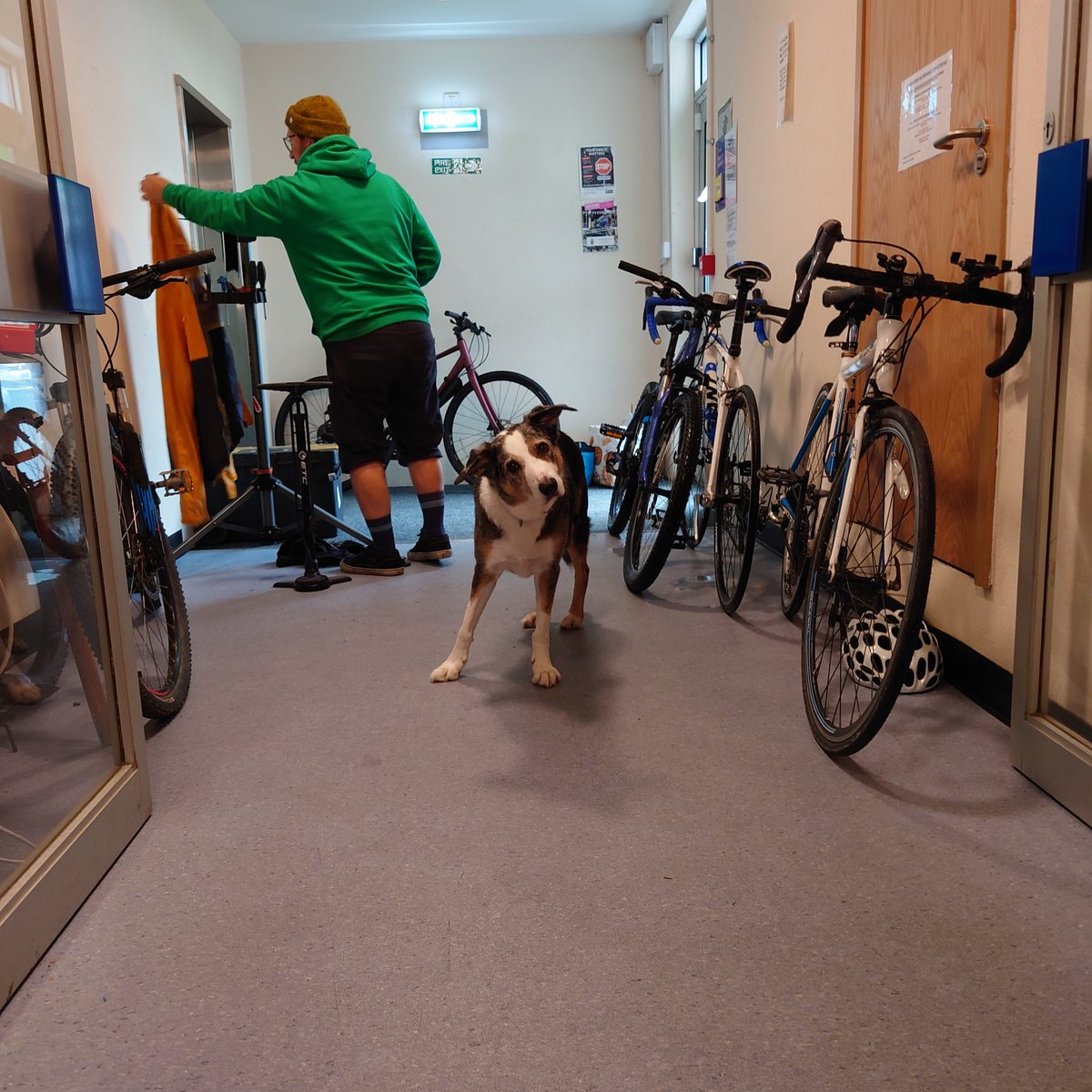 Cornwall Bicycle User Group tweet media