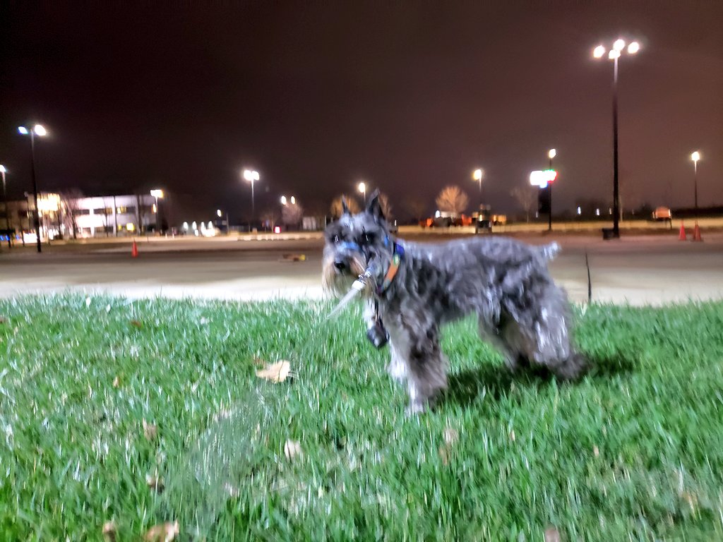 wareFLO's tweet photo. Good morning Ankeny Iowa! https://t.co/tKHCJlem4k