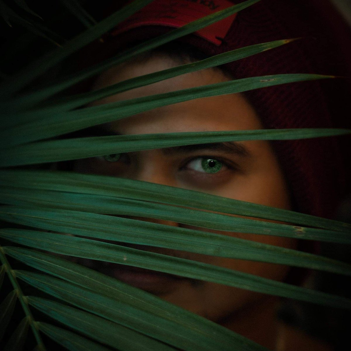 kludd30's tweet image. #NewProfilePic