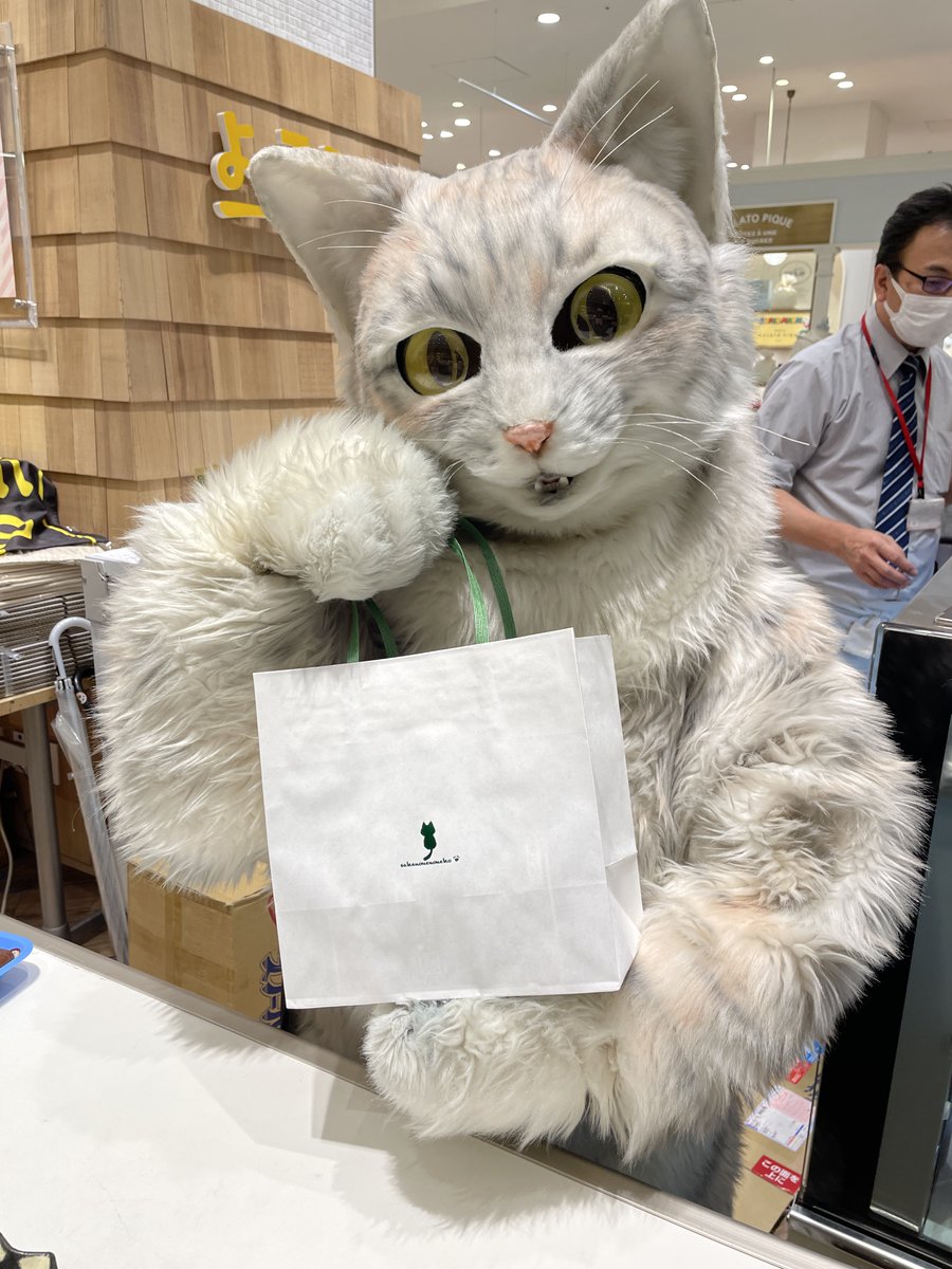 hvn929's tweet photo. なんばマルイにて
せっせとレジ打ちする可愛いアルバイト猫ミクちゃん、優しそうなオーニャーさん。ほっこりする癒し空間。

帰ってプリンみんなで美味しく頂きました。ありがとう。
 #坂の上の猫プリン https://t.co/tLf5aTeMlQ
