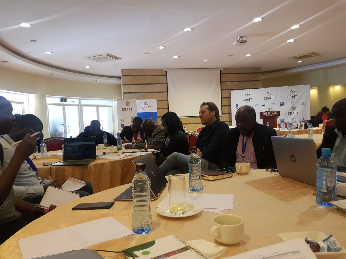rowze_nzuki tweet media