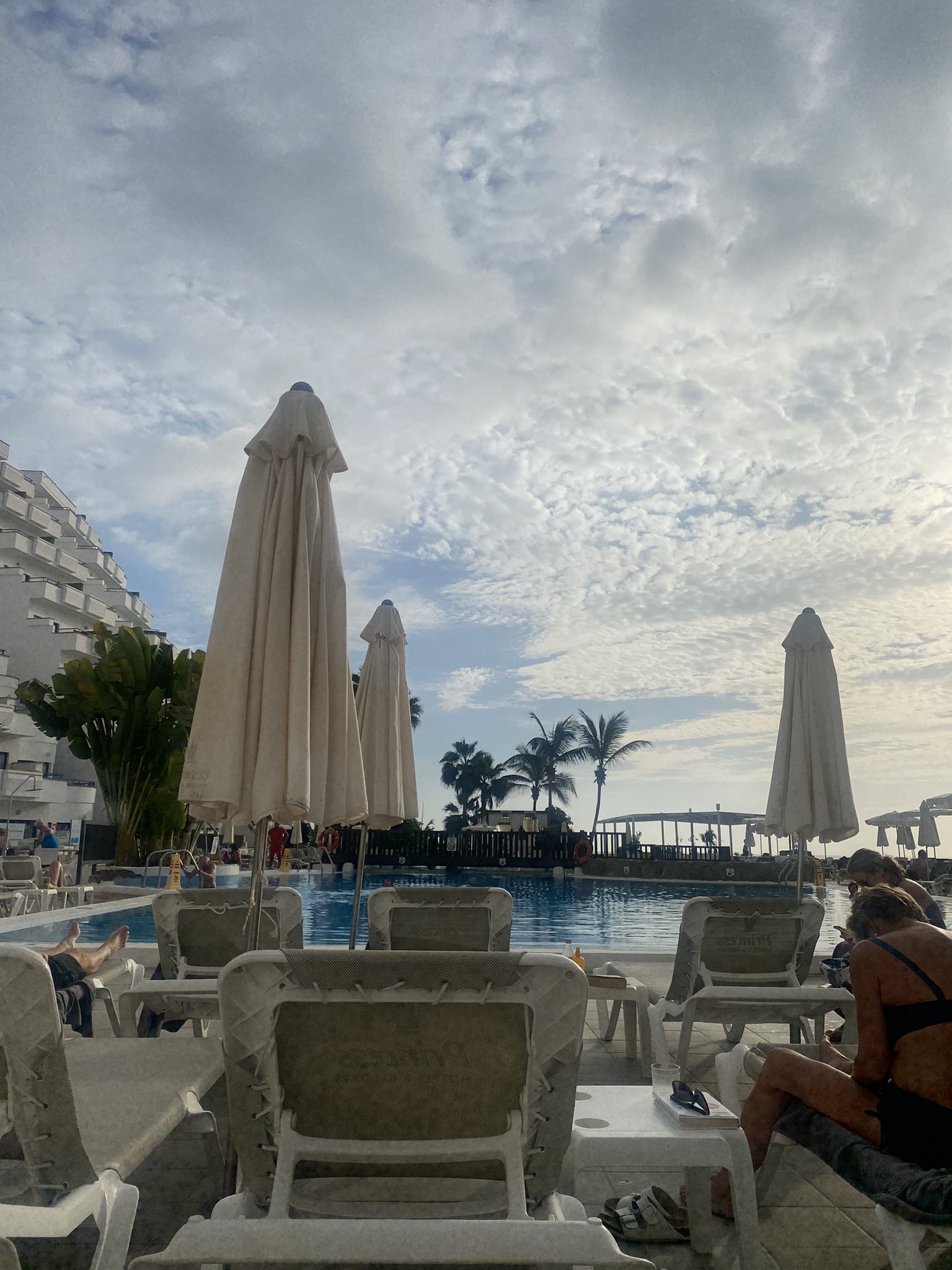 Ella Riddle (@stfcella) / Twitter