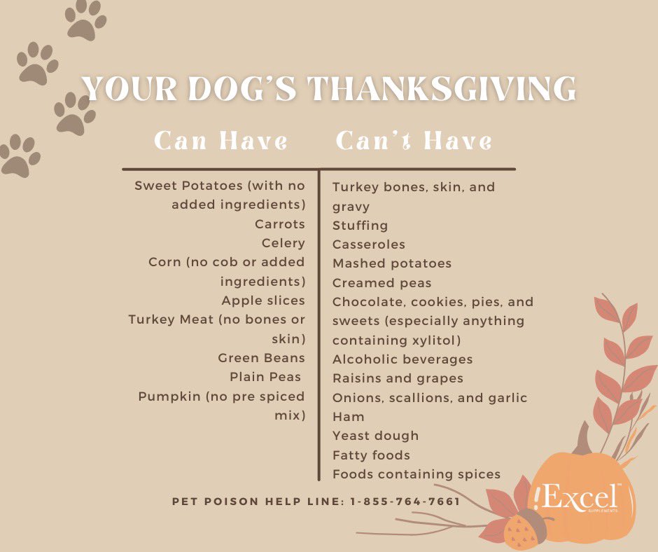 Happy Thanksgiving ❤️🦃🍂