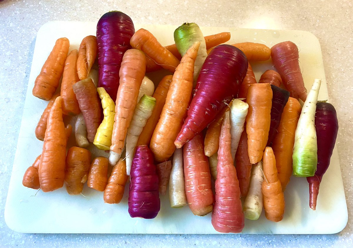 Happy Thanksgiving Everyone! Just pulled these Rainbow Carrots out of the frozen ground this morning.
#LastHarvest
#Thanksgiving  #Backyardgarden 
#OrganicGardening
#HealthyLifestyle