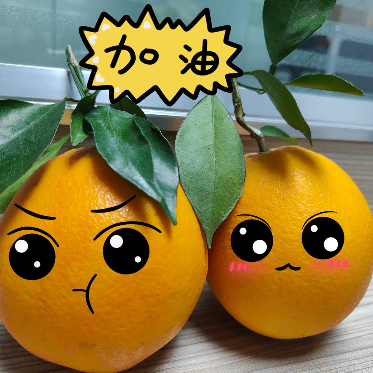 Isabella Huang (@isabell74704781) on Twitter photo 