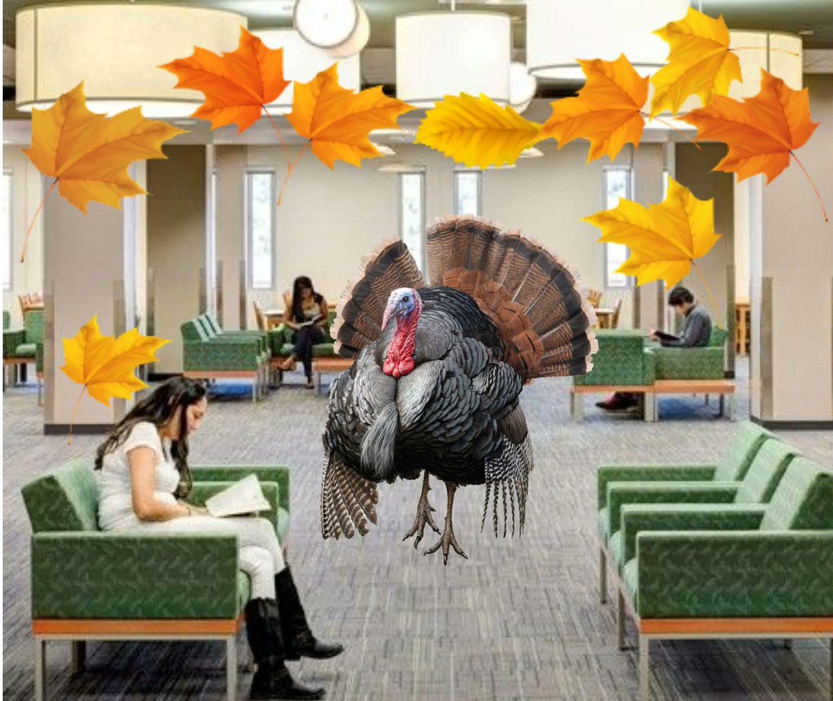 ilovesaclibrary's tweet photo. 🦃 Happy Thanksgiving from your SAC Library 🦃
#ilovesaclibrary #saclibrary #Thanksgiving2022 #satx #librarytwitter
SAC Library hours https://t.co/p6aqsjxTYA https://t.co/sgWe9lQhd9