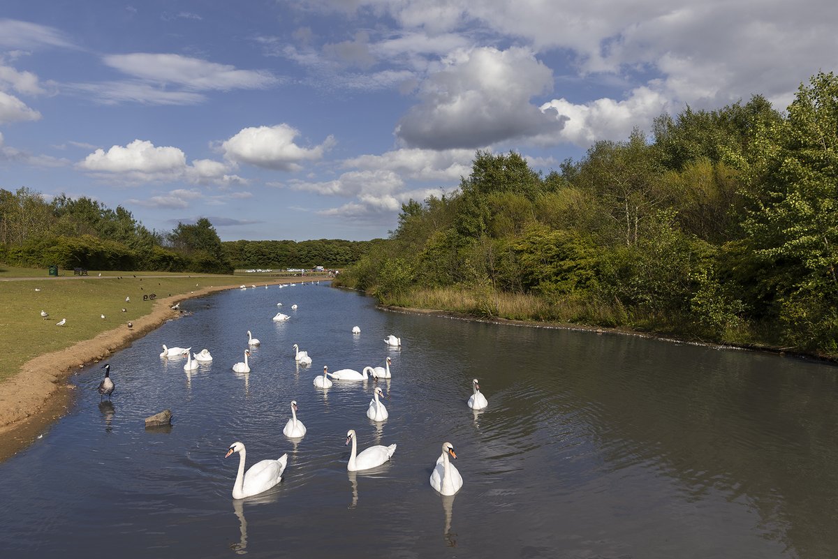 Stephen Perry tweet media