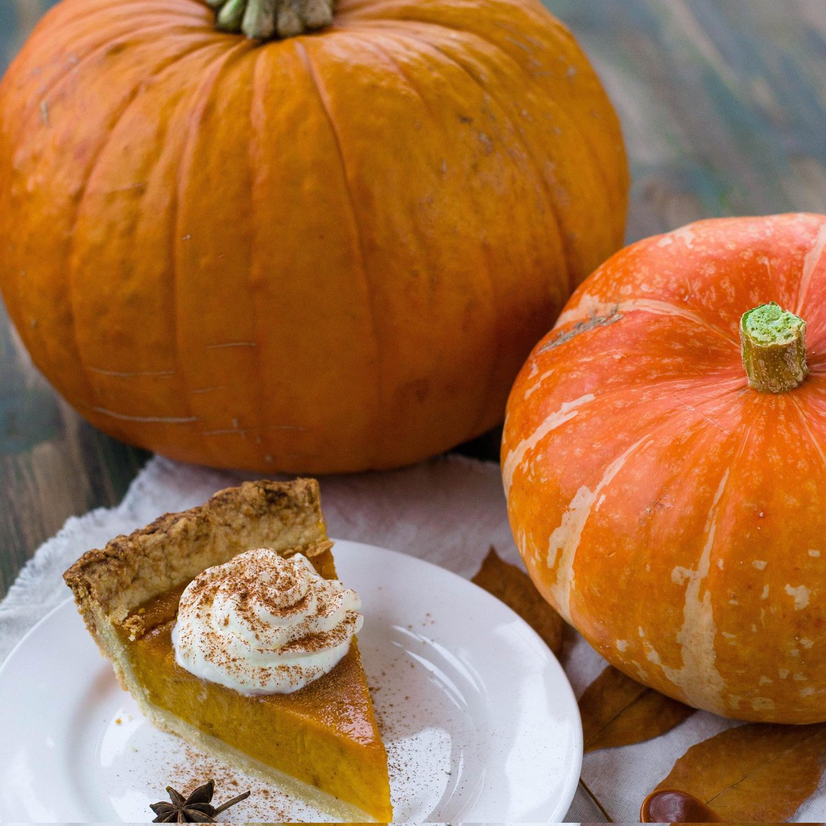jd_sutter's tweet photo. Happy Thanksgiving! I hope you have a wonderful time with your family and friends.

Here is a little piece of literature to help you kick off the festivities.
https://t.co/bHWS6E0HLb https://t.co/41er3sATSK