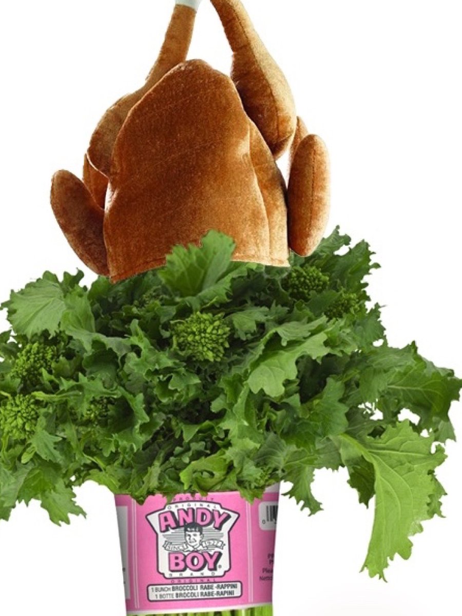 HAPPY THANKSGIVING YA TURKEYS!!!🥦🦃🍽️ #eatbroccolirabe #broccolirabe #AndyBoyproduce