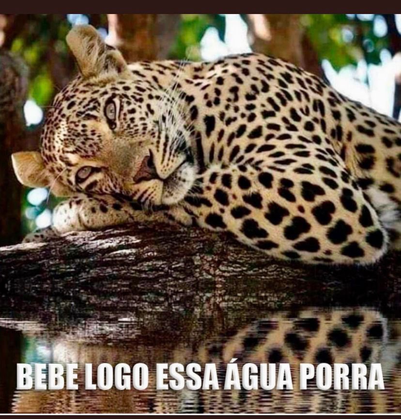 tanoinquerito's tweet photo. @GeneralMourao https://t.co/GXTUN62jox