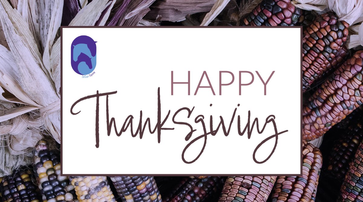 Wishing you and your family a very Happy Thanksgiving! 🦃  #givingthanks #equinelove