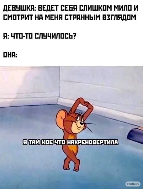 Барсик котик Оленьки (@barsik_kotee4ka) on Twitter photo 
