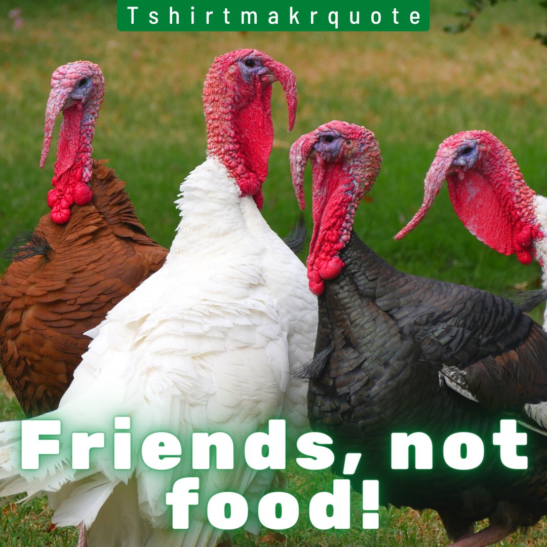 Tshirtmakrquote's tweet photo. Turkeys are friends. They are not food. This thanksgiving, adopt a turkey-π¦.
#vegan #veganthanksgiving #GoVegan #saveturkeys
#AdoptDontShop #Thanksgiving #Turkey #plantbased #crueltyfree #veganism #Veganforlife #veganrecipe https://t.co/u3cgweNiGv