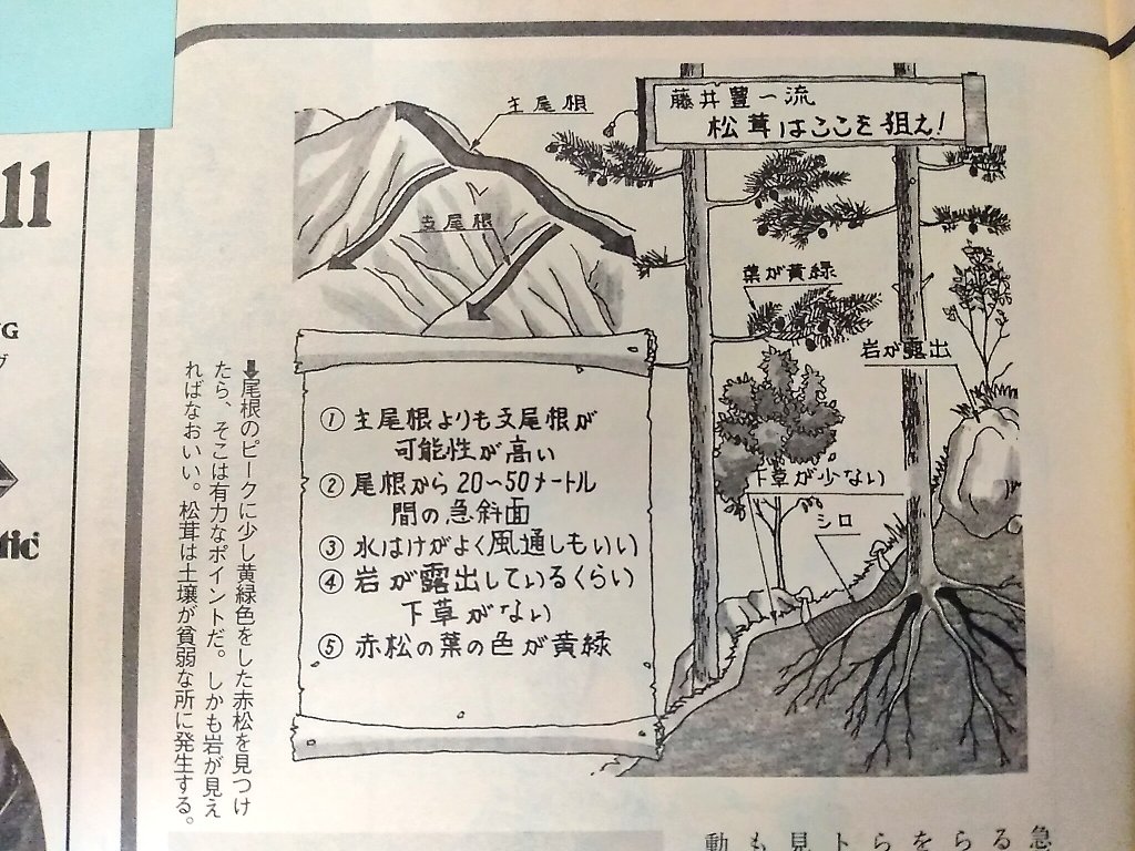 @42ty765uiw2krmu 昔雑誌で挿絵描いてた頃いろいろ連れて行かれたんですよね。 