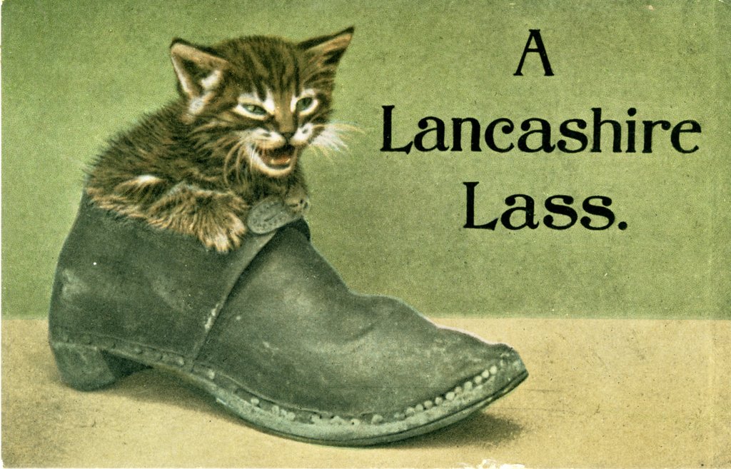 LancsLibraries's tweet image. 🌹Especially for #LancashireDay 
A selection of funny #Lancashire postcards from #RedRoseCollections
Beware, some of them came from Yorkshire! redrosecollections.lancashire.gov.uk/collection?g=7…