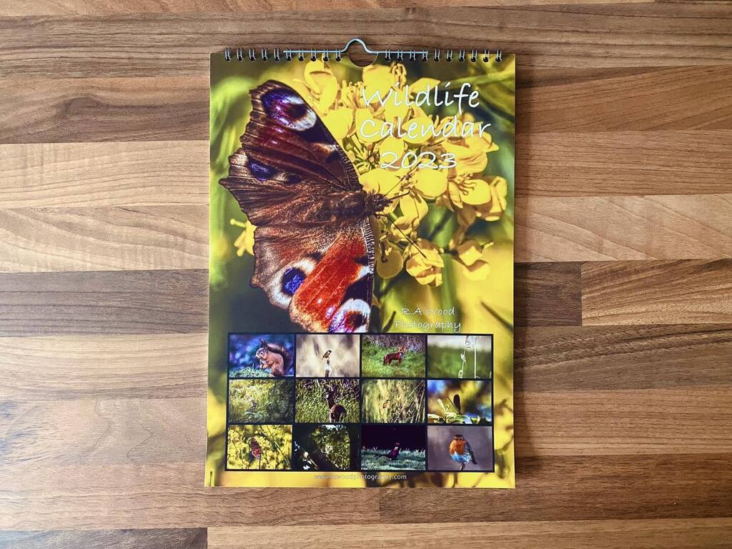 RAWoodPhotos's tweet photo. My final few calendars for 2023 are available to purchase from my Etsy Shop! 

Featuring UK Wildlife imagery, captured throughout the year in England and Scotland. A perfect Christmas gift for wildlife lovers! 

Click the link to purchase yours whilst st… https://t.co/zEH9mp7yQ6 https://t.co/62AVskzIbd