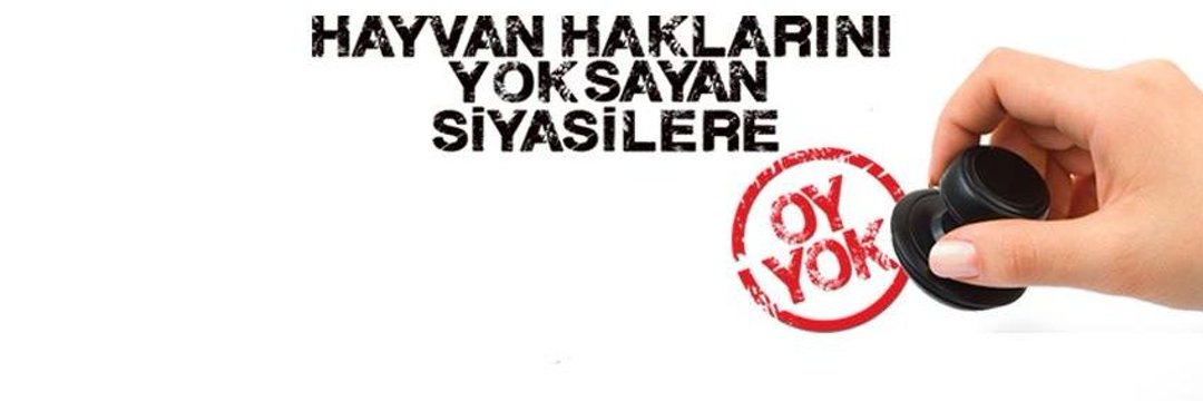 Hükumete sesleniyorum; Bir an evvel köpeklere yönelik algı operasyonlarına son verilmezse, bunlara öncülük eden dernek ve sayfalar kapatılmazsa, belediyeler toplamaları durdurup nüfus kontrolü için çalışmaya başlamazlarsa, dünyaya meteor çarpsa da sandıktan çıkamazsınız!