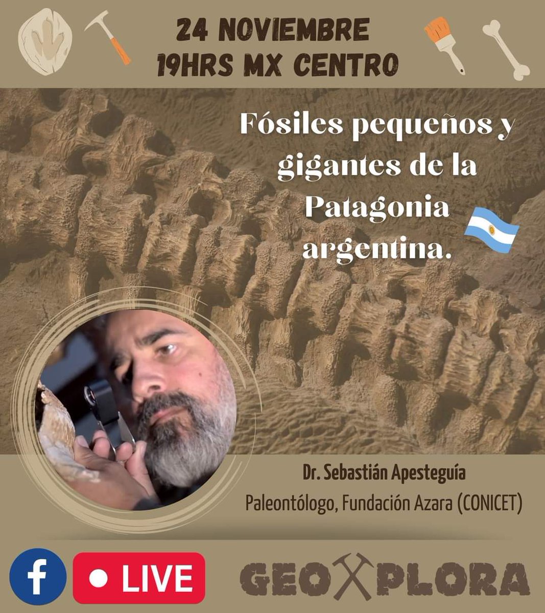 ad_miranda's tweet photo. HOY 19HRS 👏

Geoxploradores 😃 no se pierdan este #JuevesdeCientíficos  la conferencia "Fósiles pequeños y gigantes de la Patagonia argentina 🇦🇷" con el Dr. Sebastián Apesteguía. 

Cita🎯: Jueves, 24 de Noviembre, 19 hrs (MX centro)
Transmisión👉: https://t.co/c6Z1pOBWgx https://t.co/zRIHn37C0a