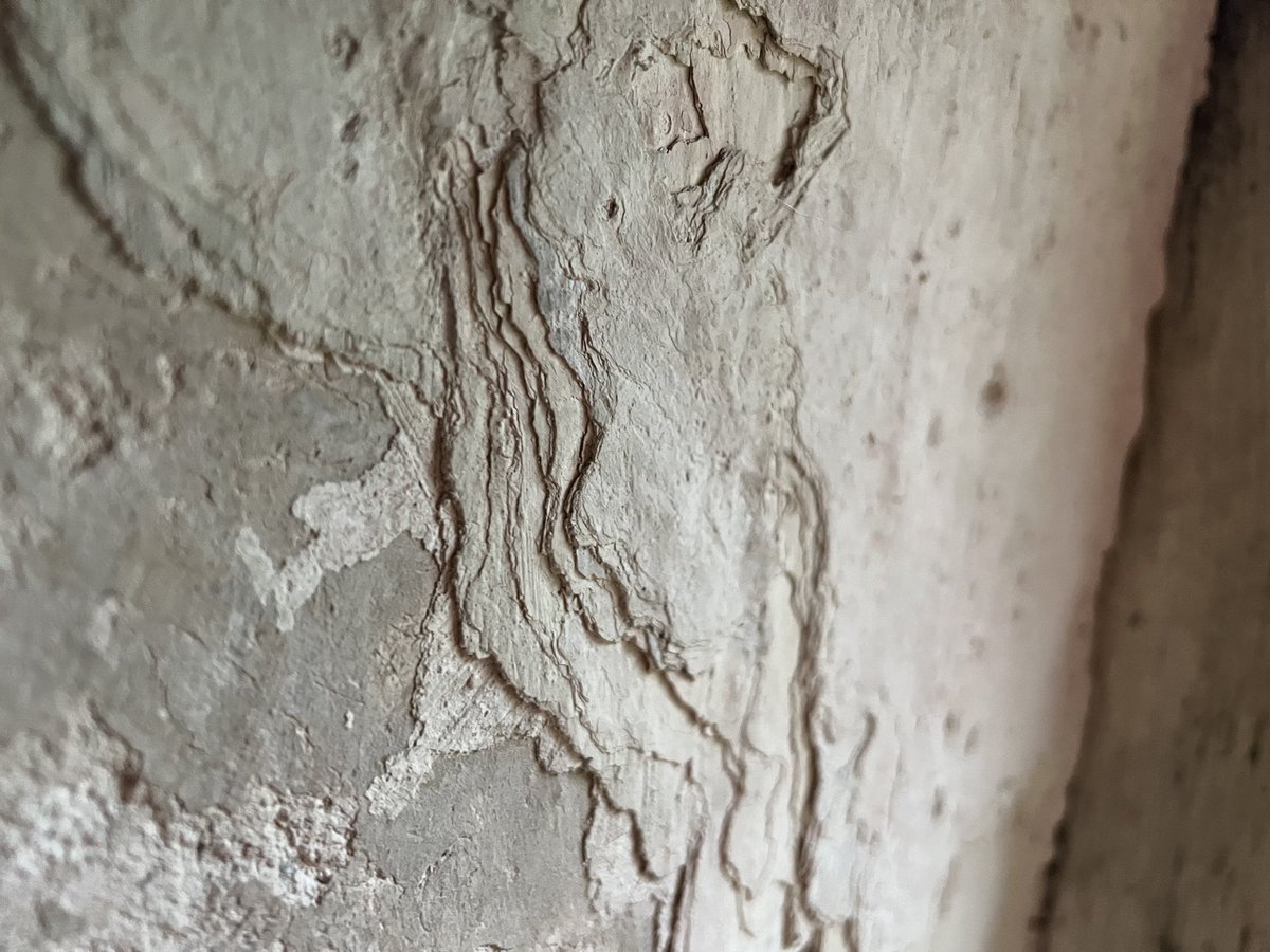 Layers and layers of lime wash #LFG