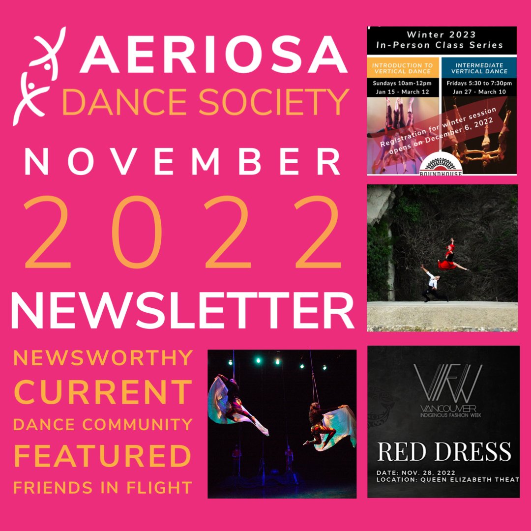 Aeriosa November 2022 Fly By Newsletter - mailchi.mp/45bb28faeef0/a…