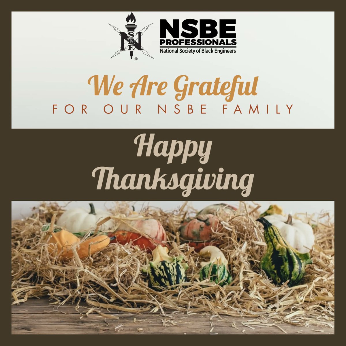 MAP_NSBE's tweet photo. The NSBE Milwaukee Area Professionals Chapter wishes you and yours a Happy Thanksgiving! We hope you enjoy the day!
#NSBEFamily #Thanksgiving https://t.co/J1EY5dD2bK