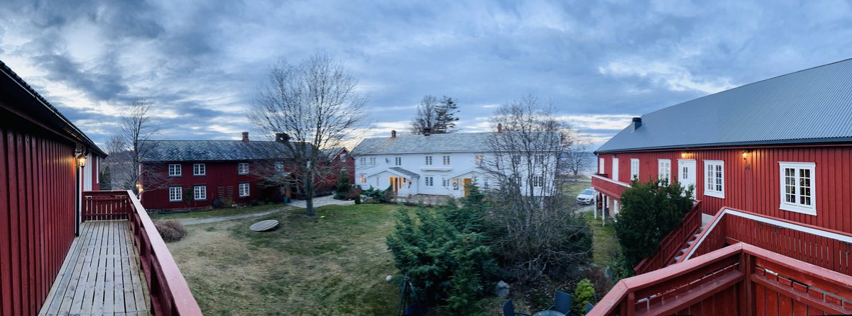 Thomas Tybell tweet media