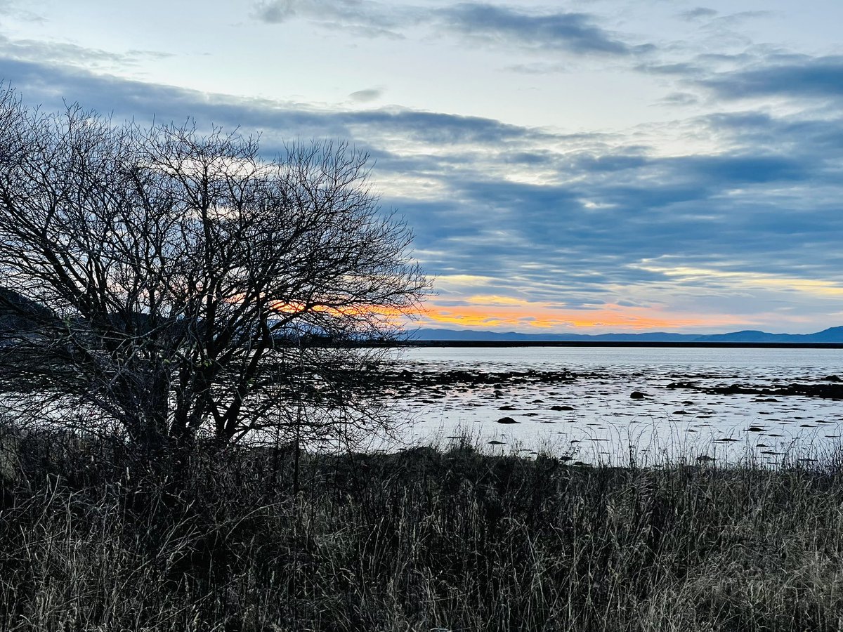 Thomas Tybell tweet media