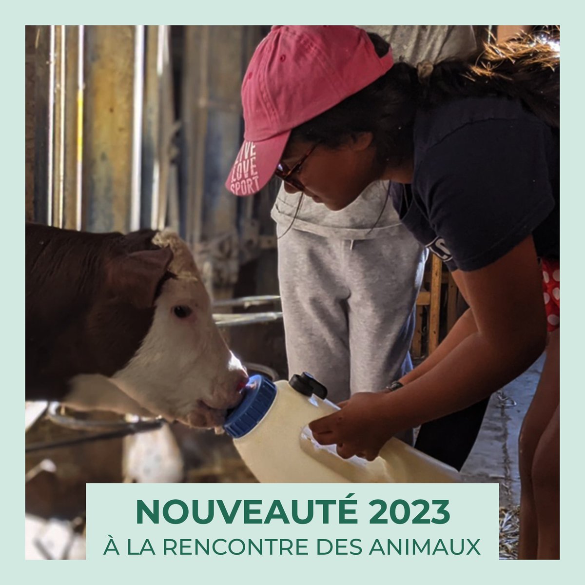 vitacolo's tweet photo. Aujourd'hui on vous présente la colo : A LA RENCONTRE DES ANIMAUX 🐮🐴🐝
Dans cette colonie de vacances, on propose de partir à la découverte des animaux de la ferme, ceux de la montagne et de la forêt mais aussi des insectes !
👉 https://t.co/vpFxEtCPhI https://t.co/jfP6aHP4qt