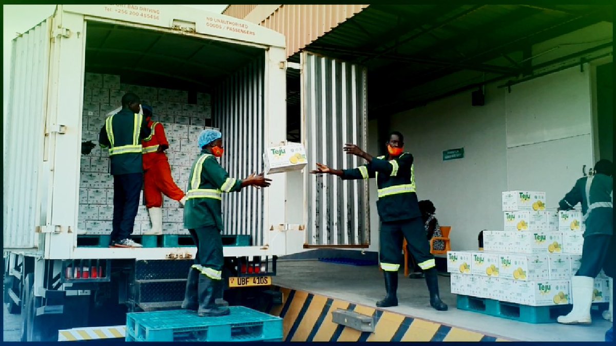 udc_uganda's tweet photo. Soroti Fruit Factory @Teju_Juice received a boost of 3 distribution trucks that are intended for direct and indirect delivery of Teju products to customers, wholesalers and distributors. 
Soroti Fruit Factory is one of our flagship investment projects. https://t.co/HL7xjnOl5V
