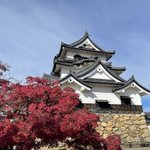 ツイートに含まれる画像