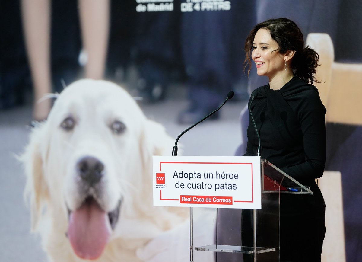 Comienza la campaña de @heroesde4patas para la adopción de perros que han dedicado su vida a trabajar en las Fuerzas Armadas y en los Cuerpos de Seguridad. Para que en los últimos años de su vida estén en una familia que les siga cuidando y queriendo.

#AdoptaUnJubilado