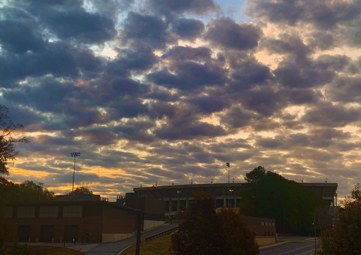 Happy Thanksgiving…