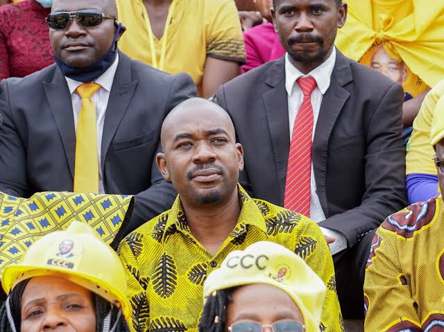 Our biggest loser for 2023. @nelsonchamisa Mr President every vote counts. Vote ya Mwonzora tinoida for a win. You destroyed Tsvangirai’s party.