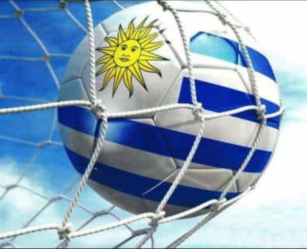 gabidonag's tweet photo. Se juega... Se juega #lacopaesnuestra https://t.co/v7gAUqOv4X