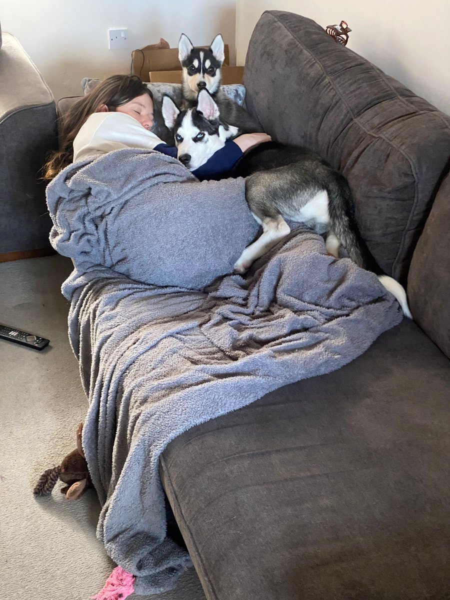 AtelierOni's tweet photo. So I may have double dipped and now I have 2 chaos gremlins. It’s been 48 hours and they’ve really warmed up to each other 🥺 
However I don’t get to go to bed or drink hot coffees anymore. This is how my partner found me on the sofa this morning 😂
We named her Hanabi as in 花火 https://t.co/Hnp5zhUXDx