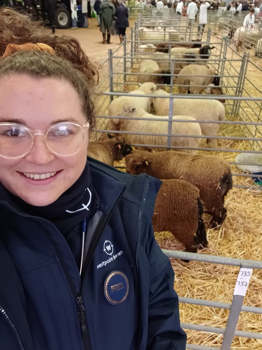 Westpoint_Vets's tweet photo. Our Horsham vet Sophie is on hand at the South Eastern Prime Stock Show today. Please say hello if you spot her.

We hope all of our clients have a great day out! 🐑 https://t.co/RqY4vLL9AV
